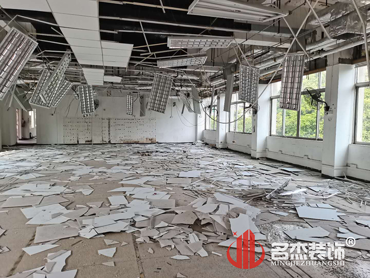 办公室粉色视频WWW在线观看