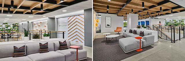 广州粉色视频免费APP装饰设计公司图册