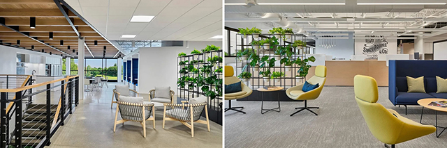 广州粉色视频免费APP装饰设计公司图册