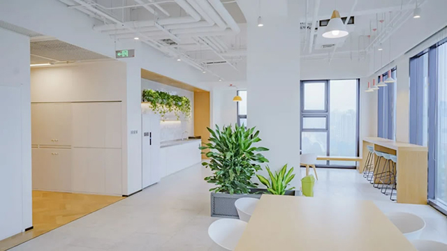 广州粉色视频免费APP装饰设计公司图册