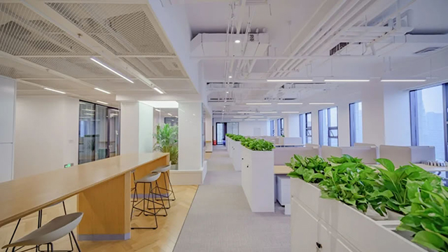 广州粉色视频免费APP装饰设计公司图册