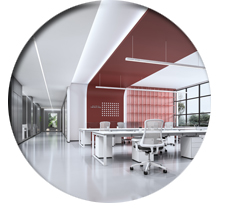 办公室粉色视频WWW在线观看