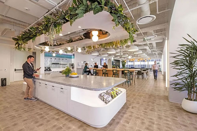 办公室粉色视频WWW在线观看