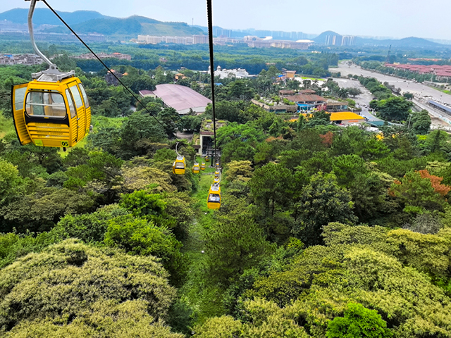 粉色视频免费APP装饰游记
